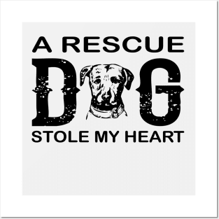 A Rescue Dog Stole My Heart Posters and Art